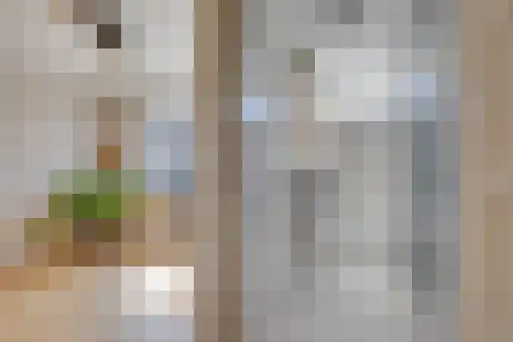 Fazantenkamp 51 Maarssen thumbnail 25