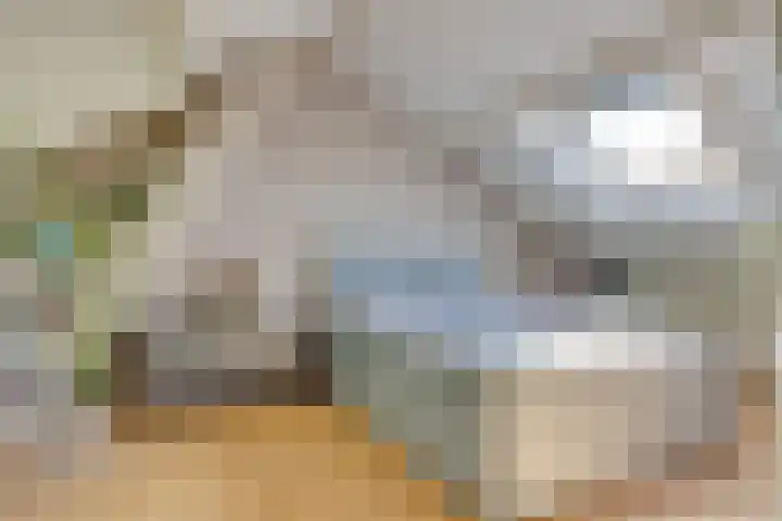 Fazantenkamp 51 Maarssen thumbnail 32