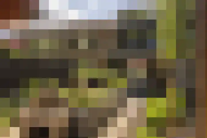Fazantenkamp 51 Maarssen thumbnail 40