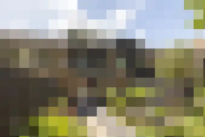 Fazantenkamp 51 Maarssen thumbnail 41