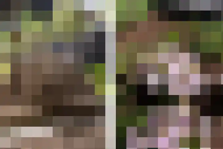 Fazantenkamp 51 Maarssen thumbnail 42