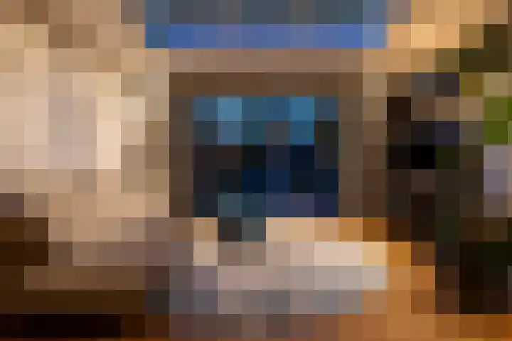Fazantenkamp 51 Maarssen thumbnail 44