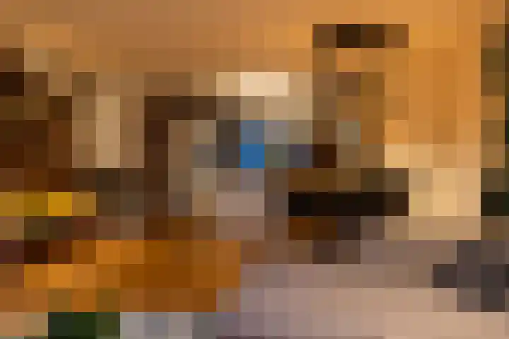 Fazantenkamp 51 Maarssen thumbnail 45