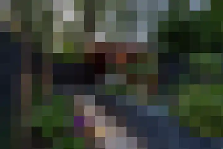Fazantenkamp 51 Maarssen thumbnail 47