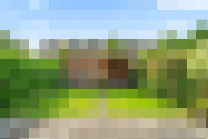 Fazantenkamp 548 Maarssen thumbnail 16