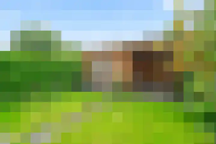 Fazantenkamp 548 Maarssen thumbnail 17