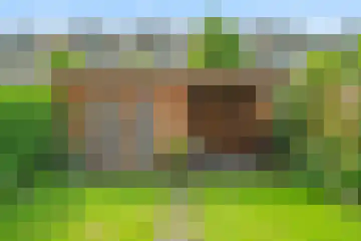 Fazantenkamp 548 Maarssen thumbnail 18
