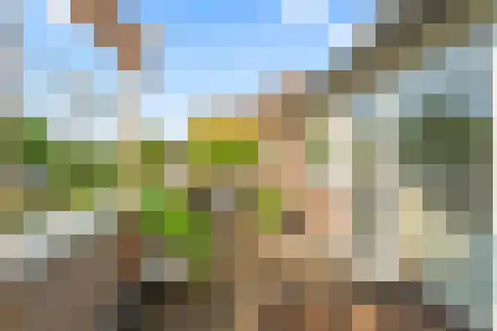 Fazantenkamp 548 Maarssen thumbnail 34