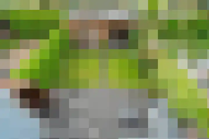Fazantenkamp 548 Maarssen thumbnail 36