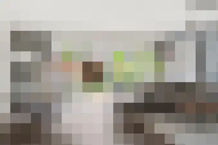 Fazantenkamp 548 Maarssen thumbnail 4