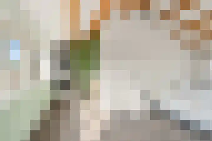 Fazantenkamp 548 Maarssen thumbnail 42