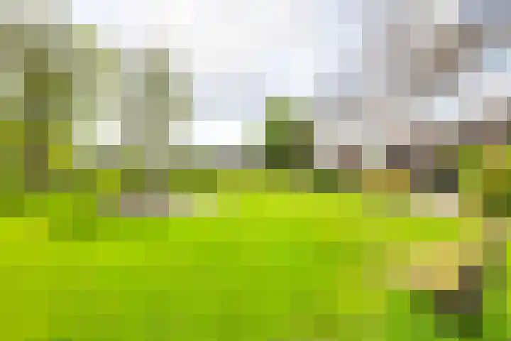 Fazantenkamp 548 Maarssen thumbnail 48