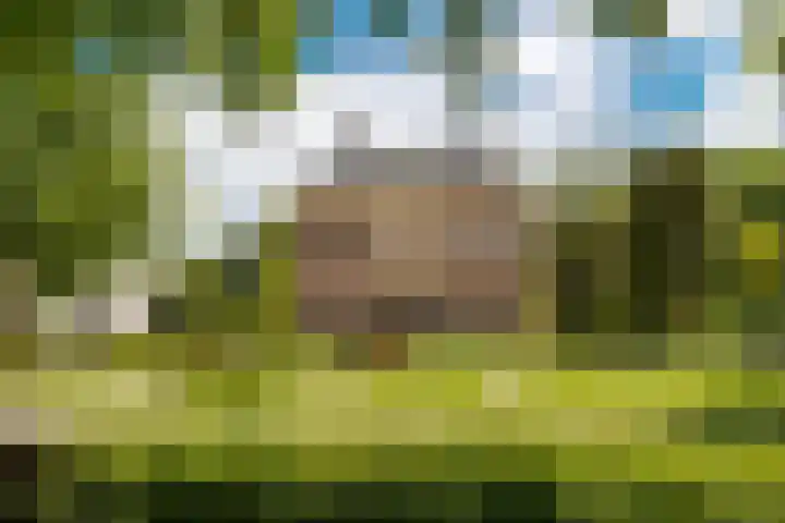 Fazantenkamp 548 Maarssen thumbnail 49