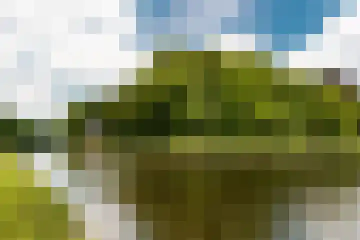 Fazantenkamp 548 Maarssen thumbnail 51