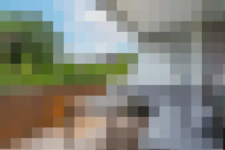 Fazantenkamp 586 Maarssen thumbnail 14
