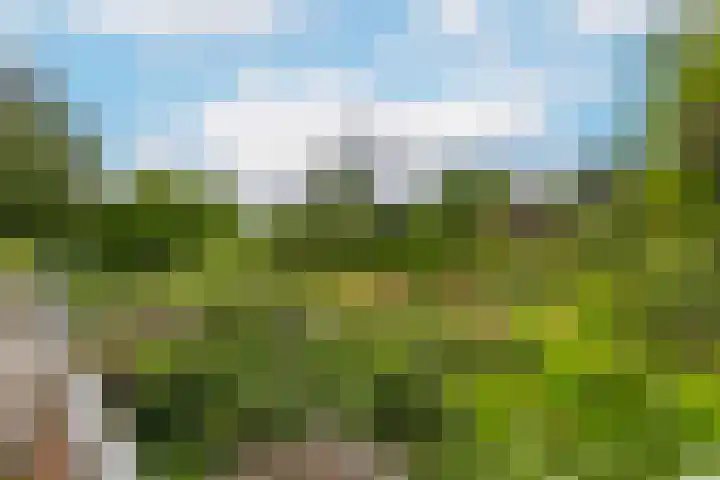 Fazantenkamp 586 Maarssen thumbnail 16