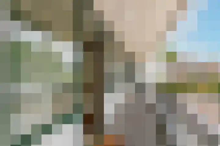 Fazantenkamp 586 Maarssen thumbnail 4