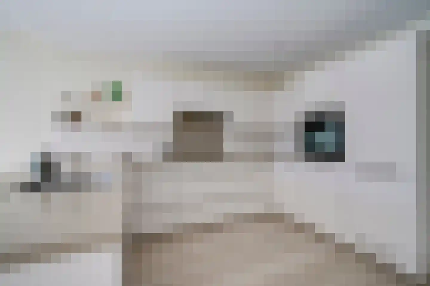 Fazantenkamp 599 Maarssen thumbnail 18