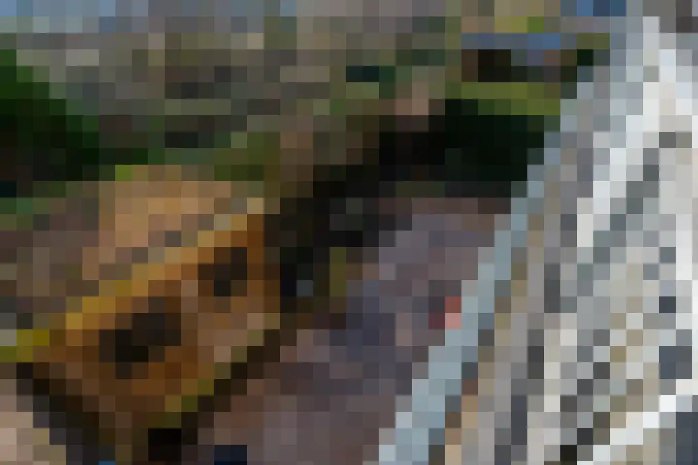 Fazantenkamp 599 Maarssen thumbnail 44