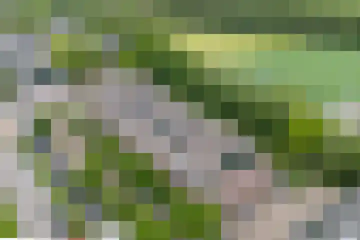 Fazantenkamp 607 Maarssen thumbnail 36