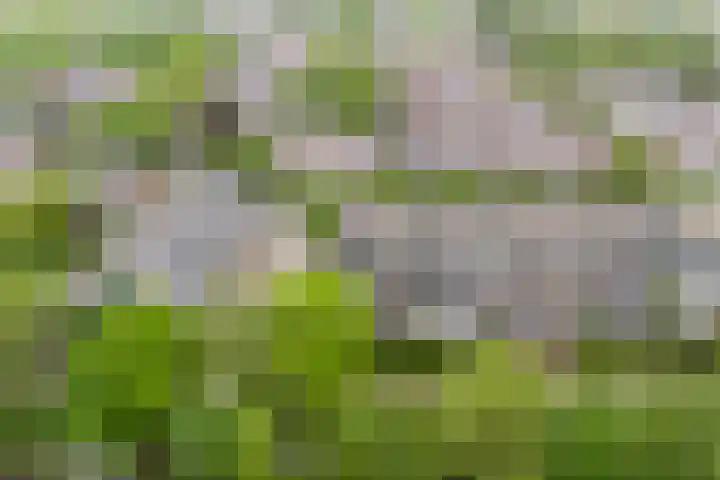 Fazantenkamp 607 Maarssen thumbnail 38