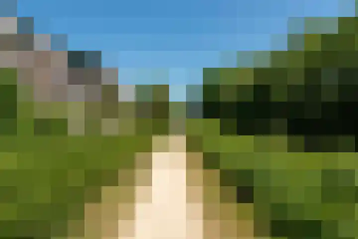 Fazantenkamp 607 Maarssen thumbnail 39