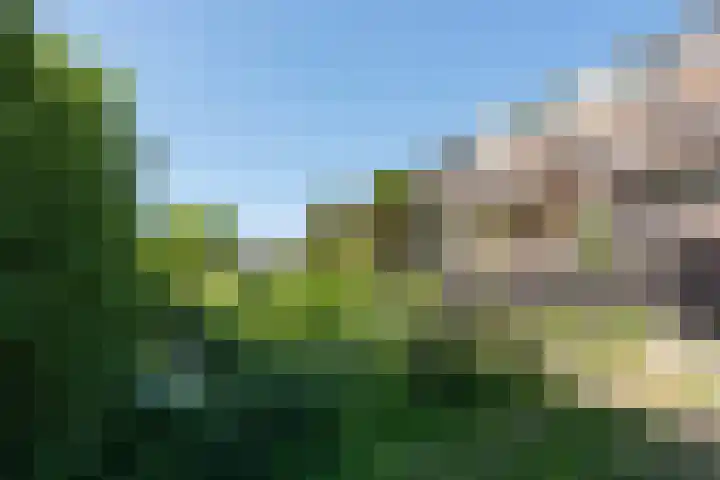 Fazantenkamp 607 Maarssen thumbnail 40