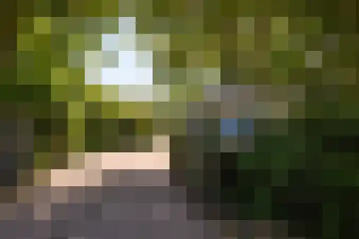 Fazantenkamp 607 Maarssen thumbnail 41