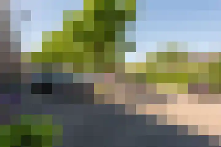 Fazantenkamp 607 Maarssen thumbnail 44