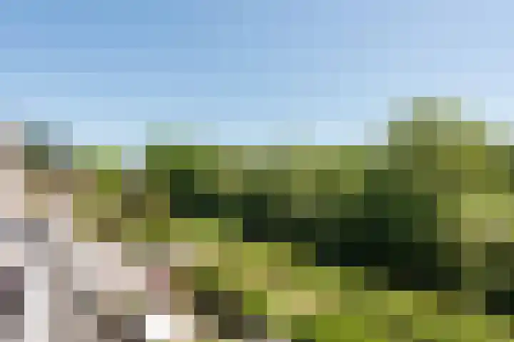 Fazantenkamp 607 Maarssen thumbnail 47