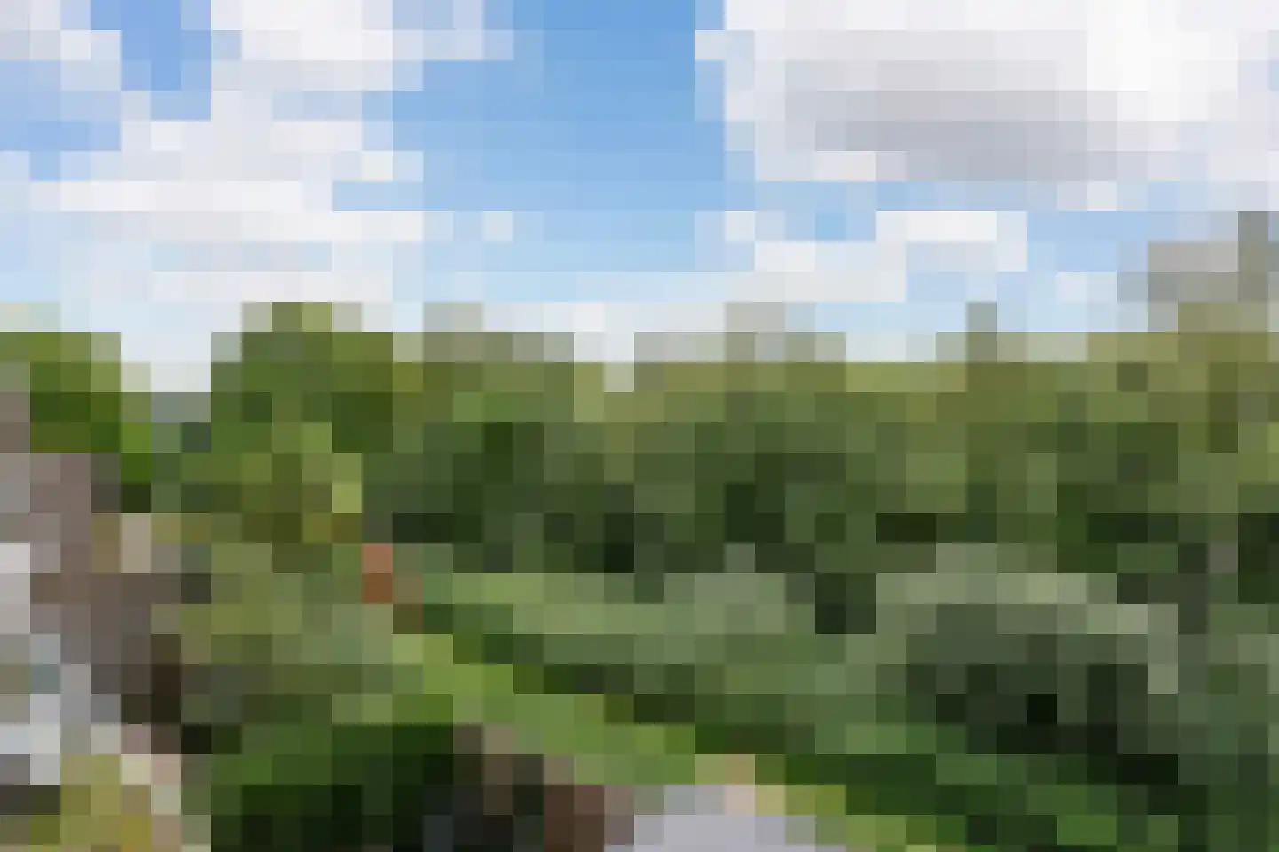 Fazantenkamp 609 Maarssen thumbnail 31