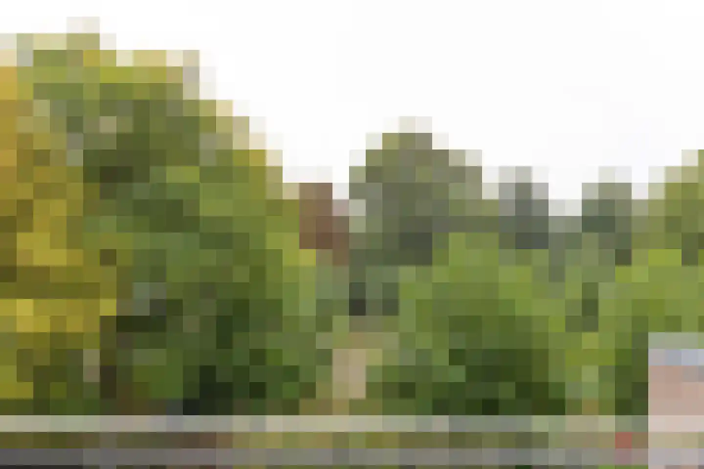 Fazantenkamp 641 Maarssen thumbnail 21