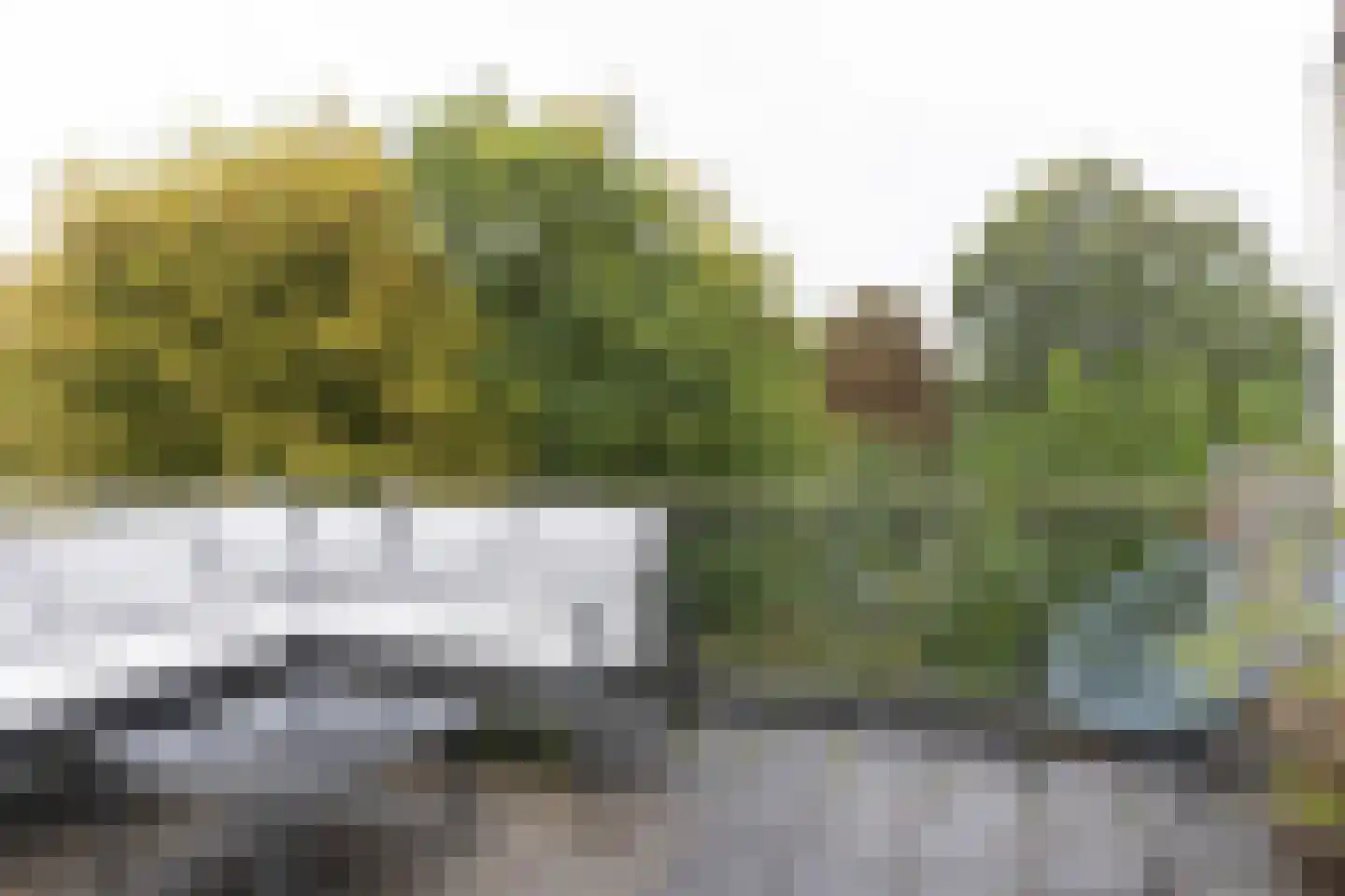 Fazantenkamp 641 Maarssen thumbnail 6