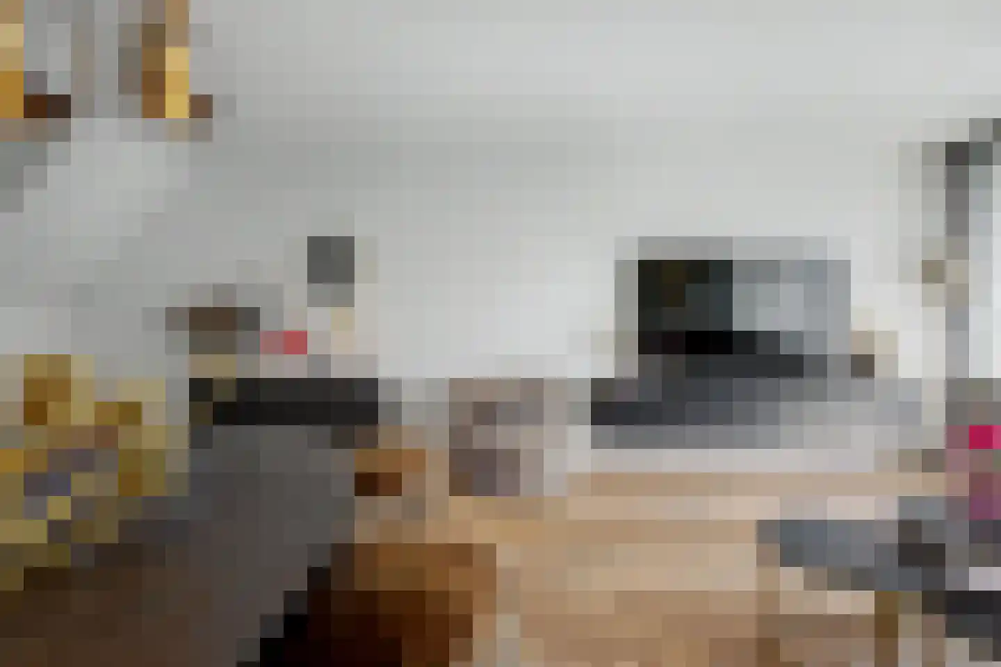 Fazantenkamp 643 Maarssen thumbnail 12