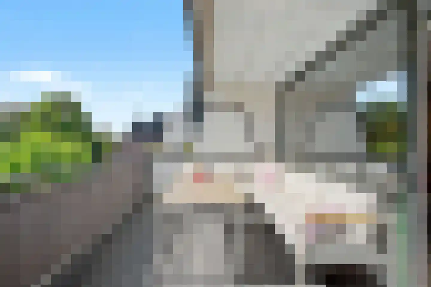 Fazantenkamp 643 Maarssen thumbnail 30