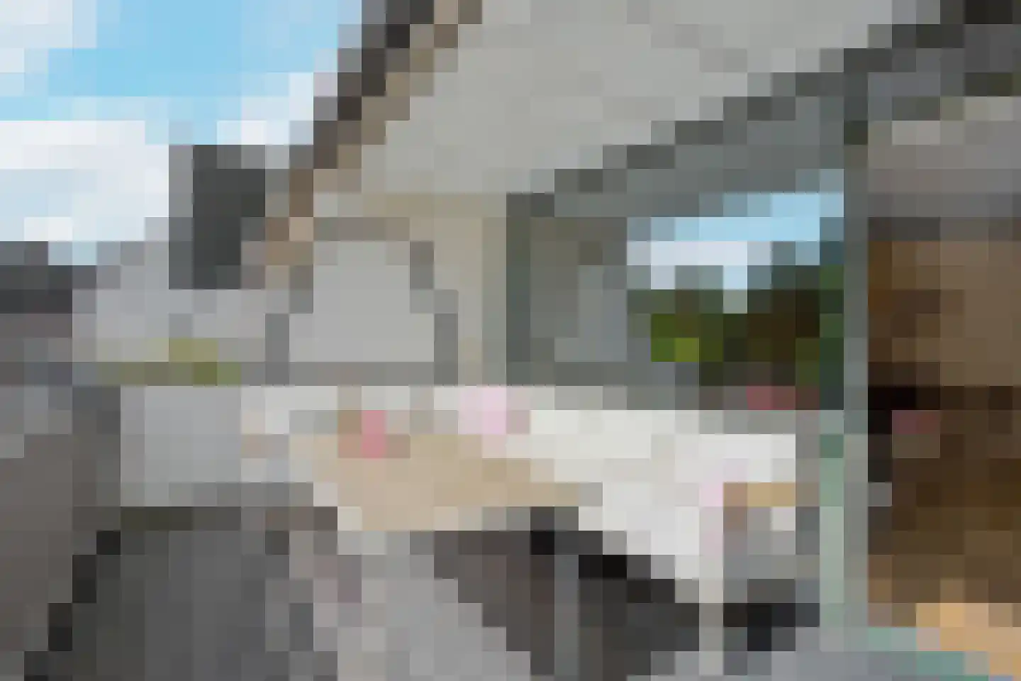 Fazantenkamp 643 Maarssen thumbnail 31