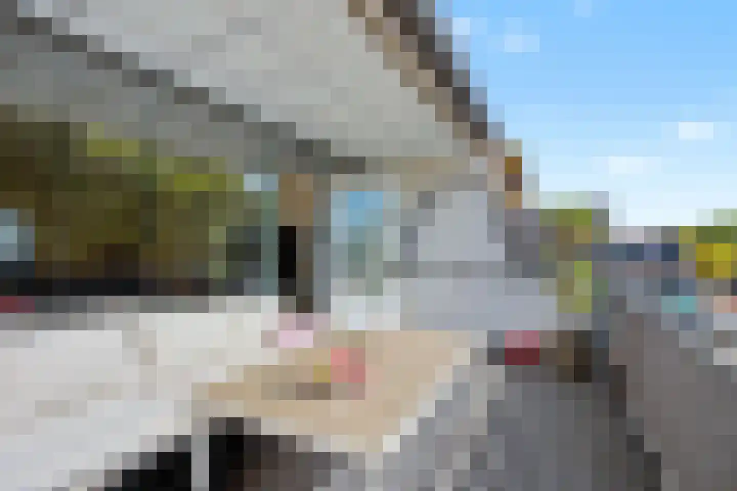 Fazantenkamp 643 Maarssen thumbnail 32