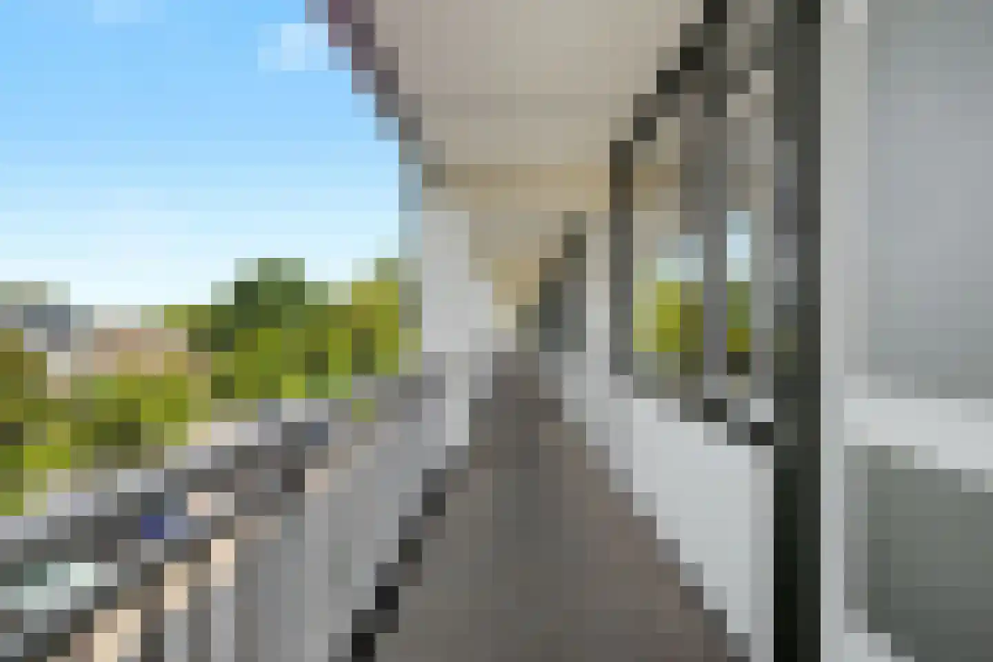 Fazantenkamp 643 Maarssen thumbnail 5