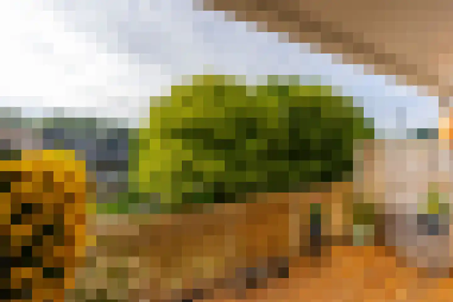 Fazantenkamp 646 Maarssen thumbnail 24