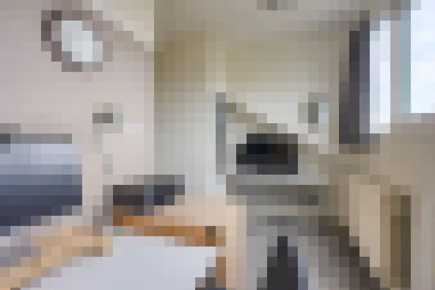 Fazantenkamp 646 Maarssen thumbnail 39