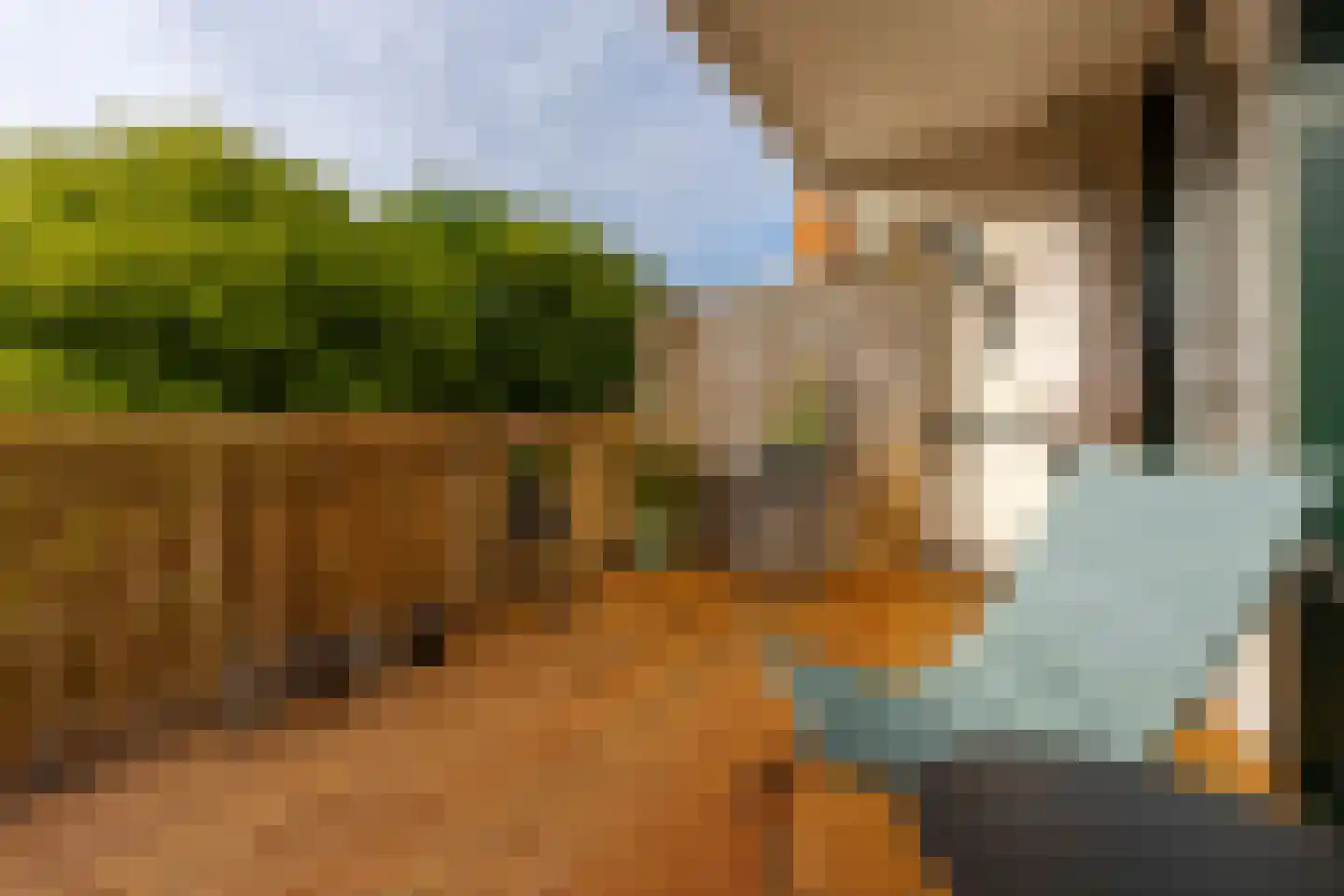 Fazantenkamp 646 Maarssen thumbnail 4