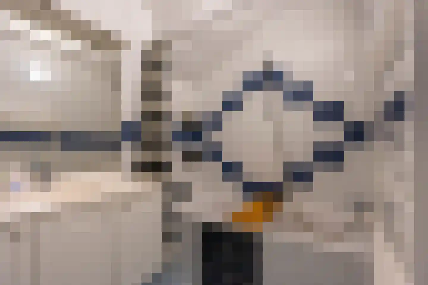 Fazantenkamp 646 Maarssen thumbnail 42