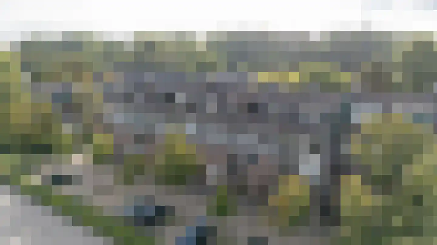 Fazantenkamp 646 Maarssen thumbnail 44