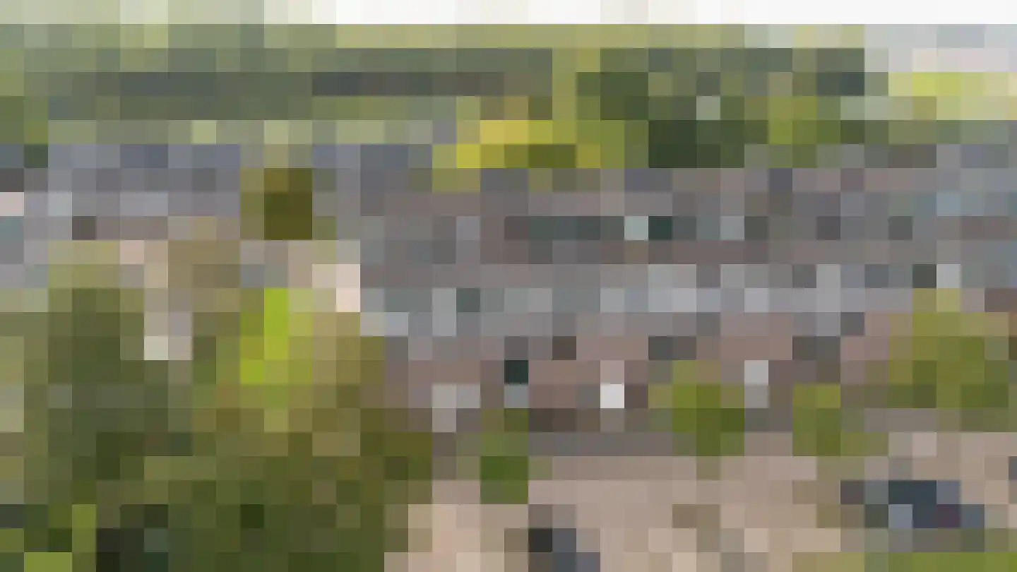 Fazantenkamp 646 Maarssen thumbnail 45