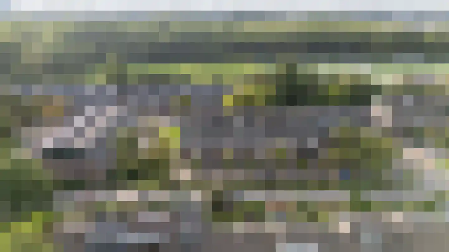Fazantenkamp 646 Maarssen thumbnail 46