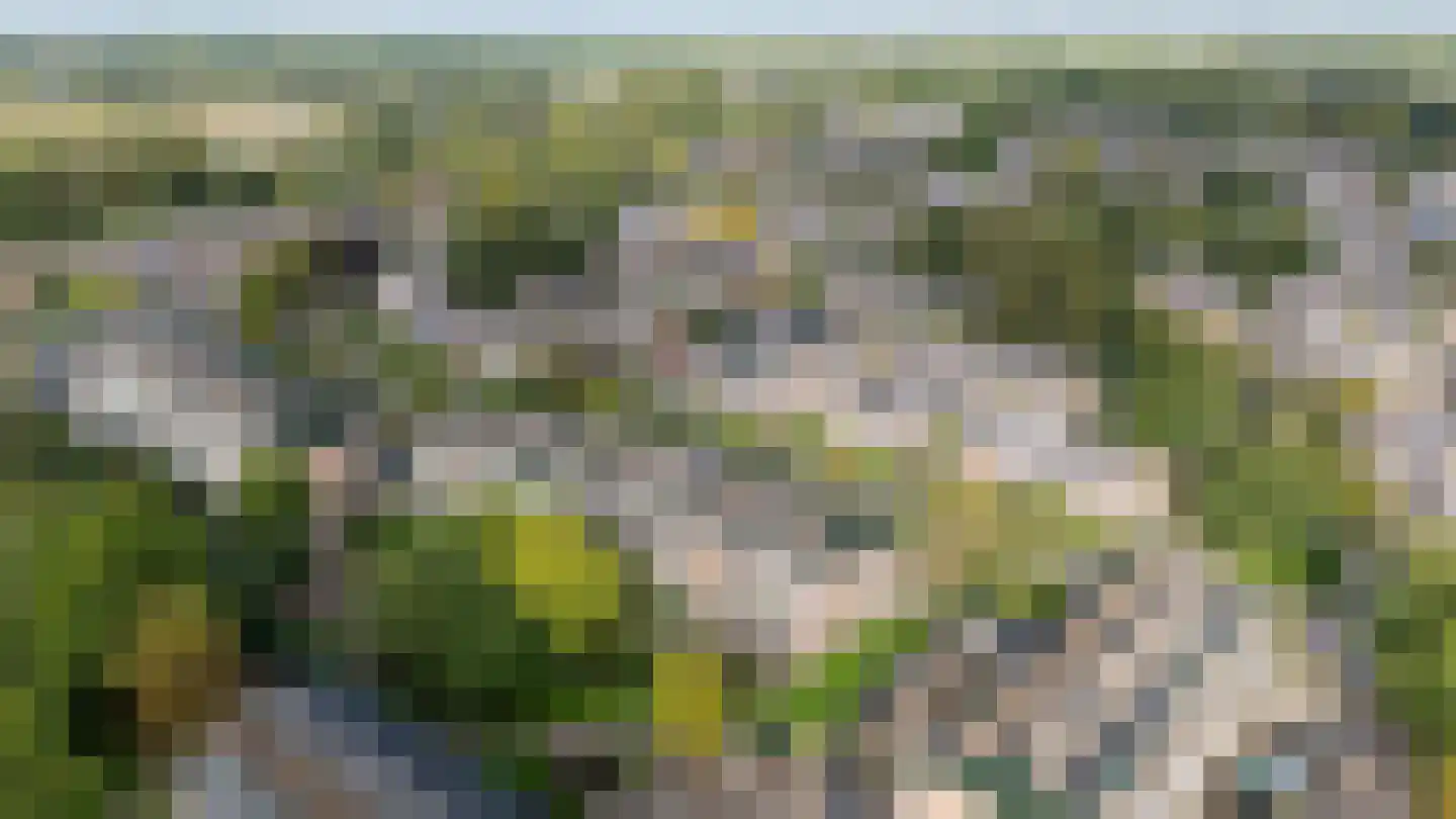 Fazantenkamp 646 Maarssen thumbnail 47