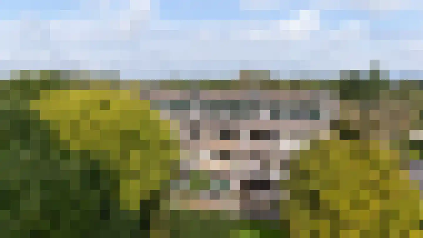 Fazantenkamp 646 Maarssen thumbnail 48