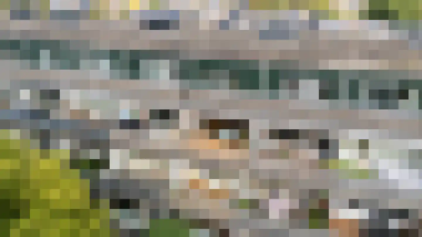 Fazantenkamp 646 Maarssen thumbnail 49