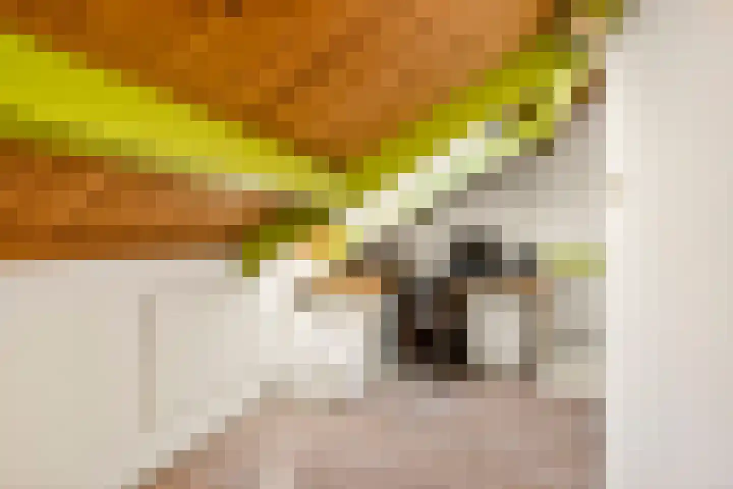 Fazantenkamp 647 Maarssen thumbnail 33