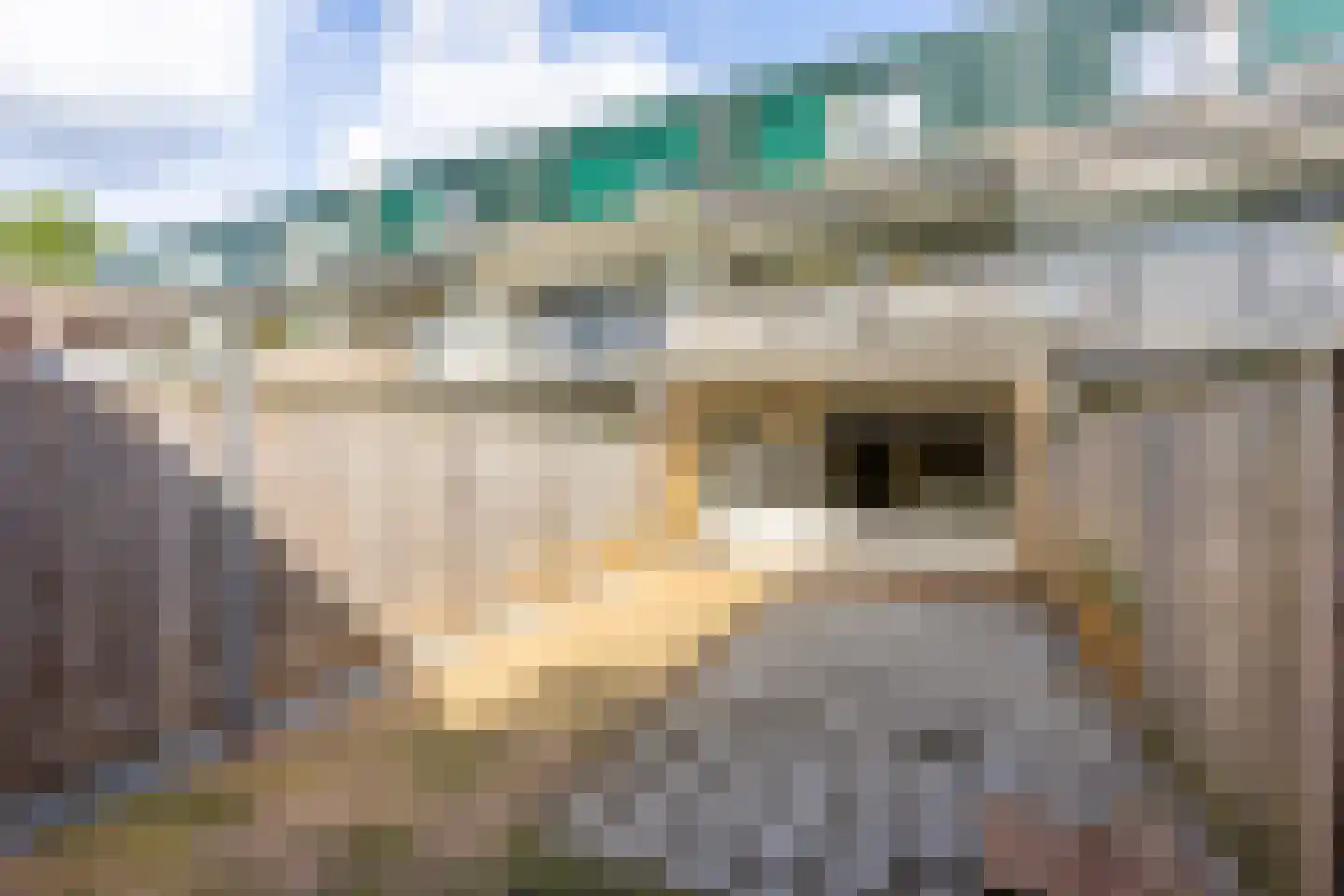 Fazantenkamp 652 Maarssen thumbnail 22